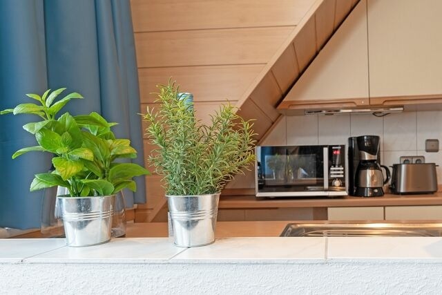 Ferienwohnung in Bosau - Haus Schwanensee Seeblick Bischofsee - Bild 14