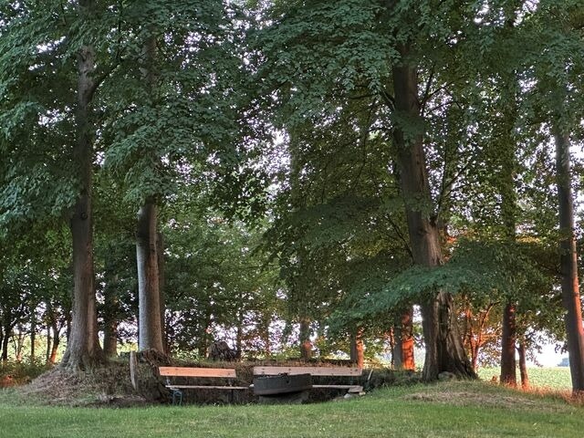 Ferienwohnung in Rieseby - Gut B&uuml;chenau - Ferienwohnung Weitsicht - Bild 18