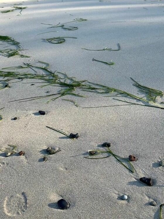 Ferienwohnung in Dranske - Kapit&auml;nskaj&uuml;te am Bakenberg- D21 - Bild 10