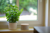 Ferienhaus in Fehmarn - Ferienhaus 3 - Bild 7