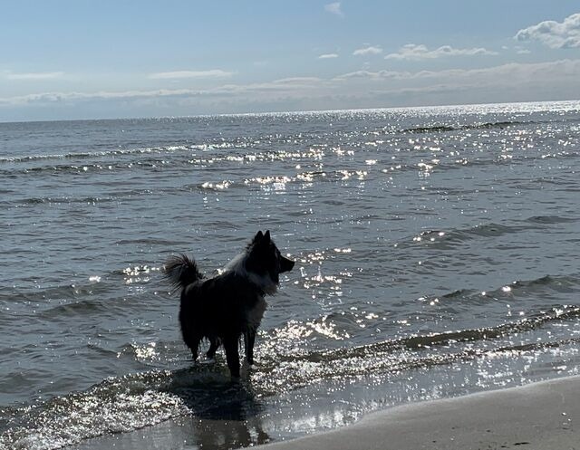 Ferienwohnung in G&ouml;hren - Fewo Nr. 2 Rudi G&ouml;hren - Bild 6