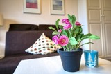 Ferienwohnung in Heiligenhafen - Haus Sch&ouml;ne Aussicht, App. 2SBE11 - Bild 14