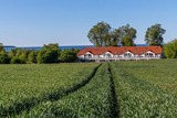 Ferienwohnung in Hohenkirchen-Niendorf - Haus Seeblick Wohnung 13 "Green Island - Bild 18